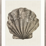 Black & White Shell V