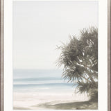 Little Cove IV