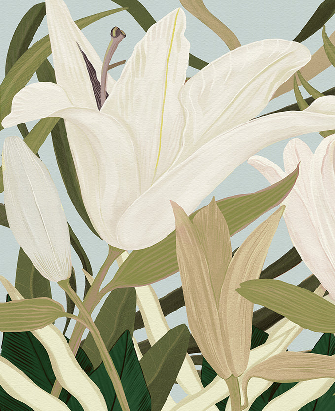 Lunaria I (Canvas)