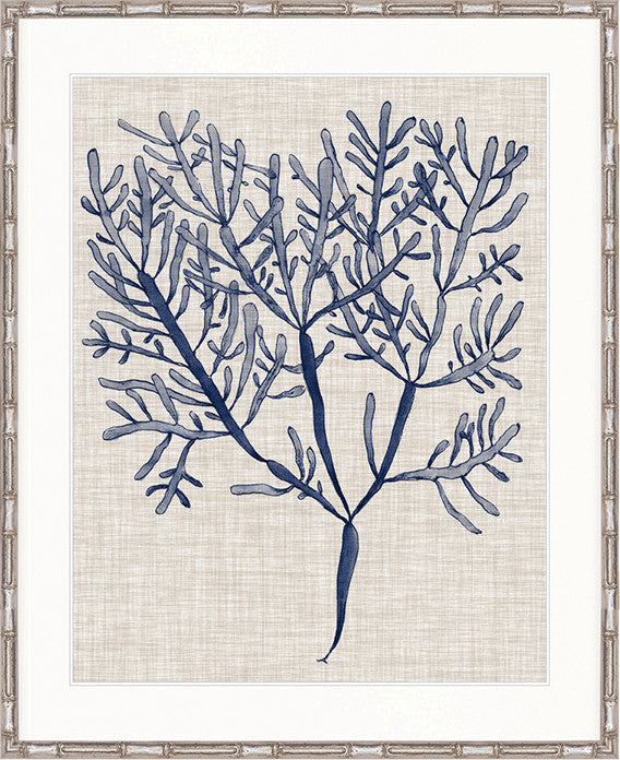 Delicate Seaweed III