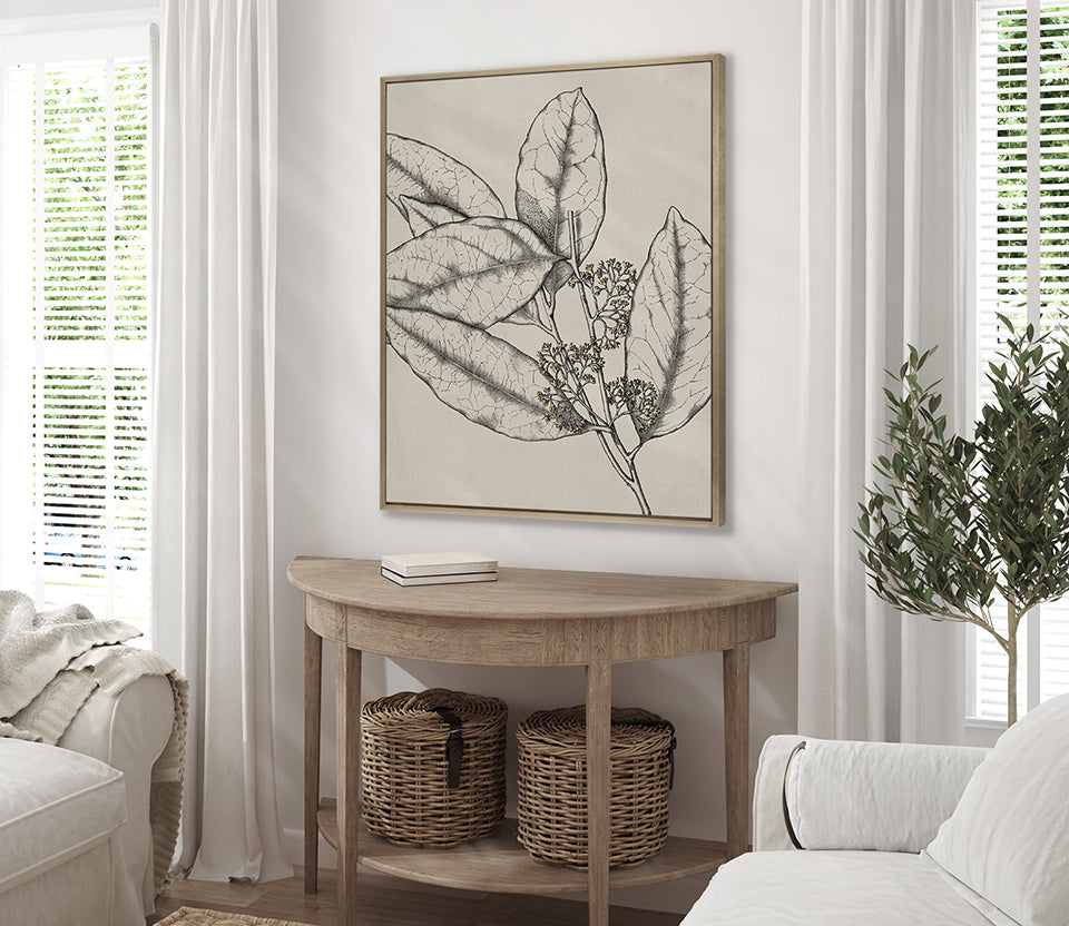 Maiden Beauty I (Canvas)