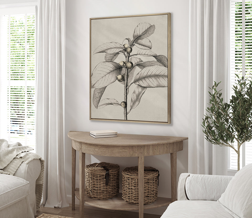 Maiden Beauty II (Canvas)