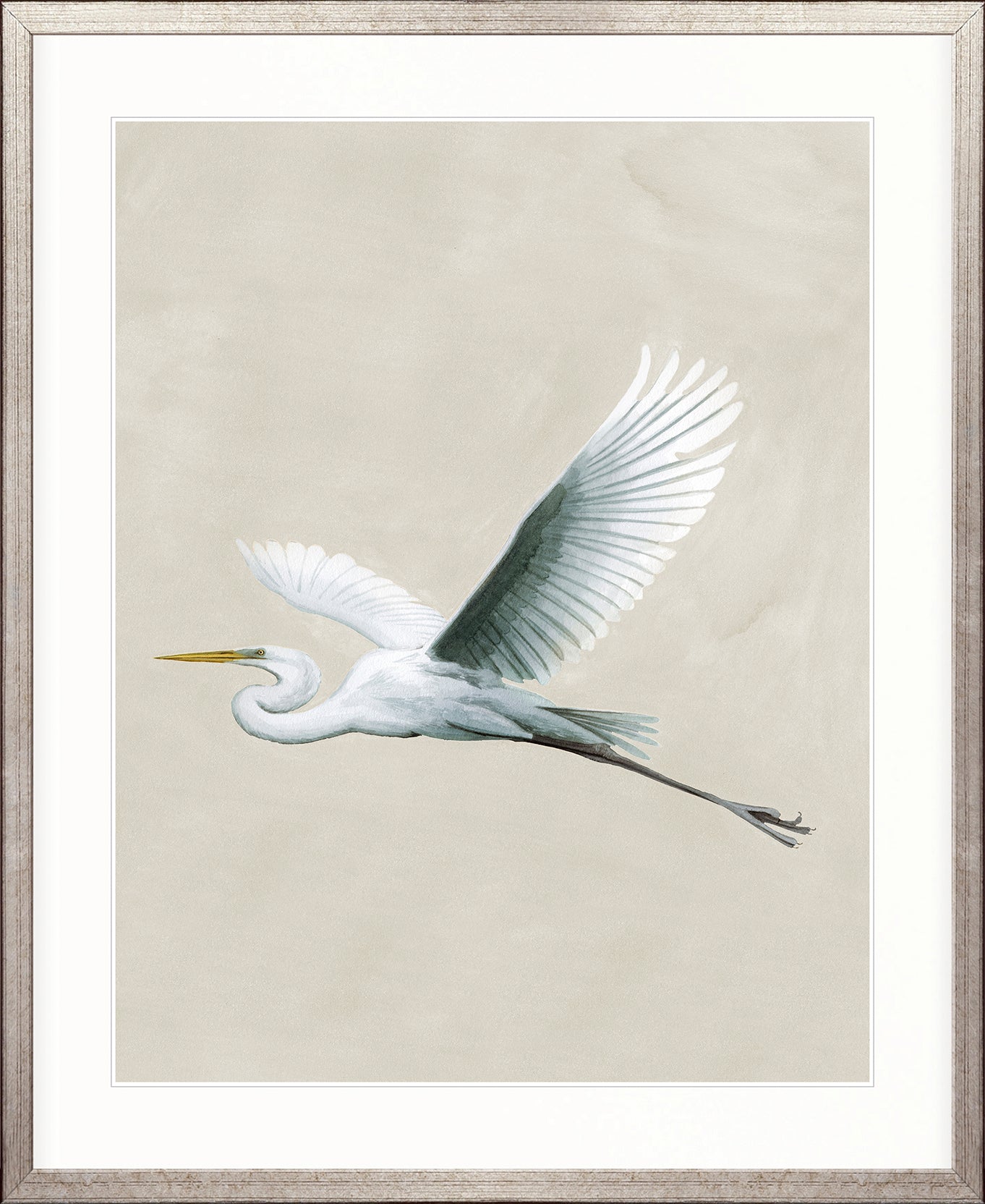 Majestic Egret VIII