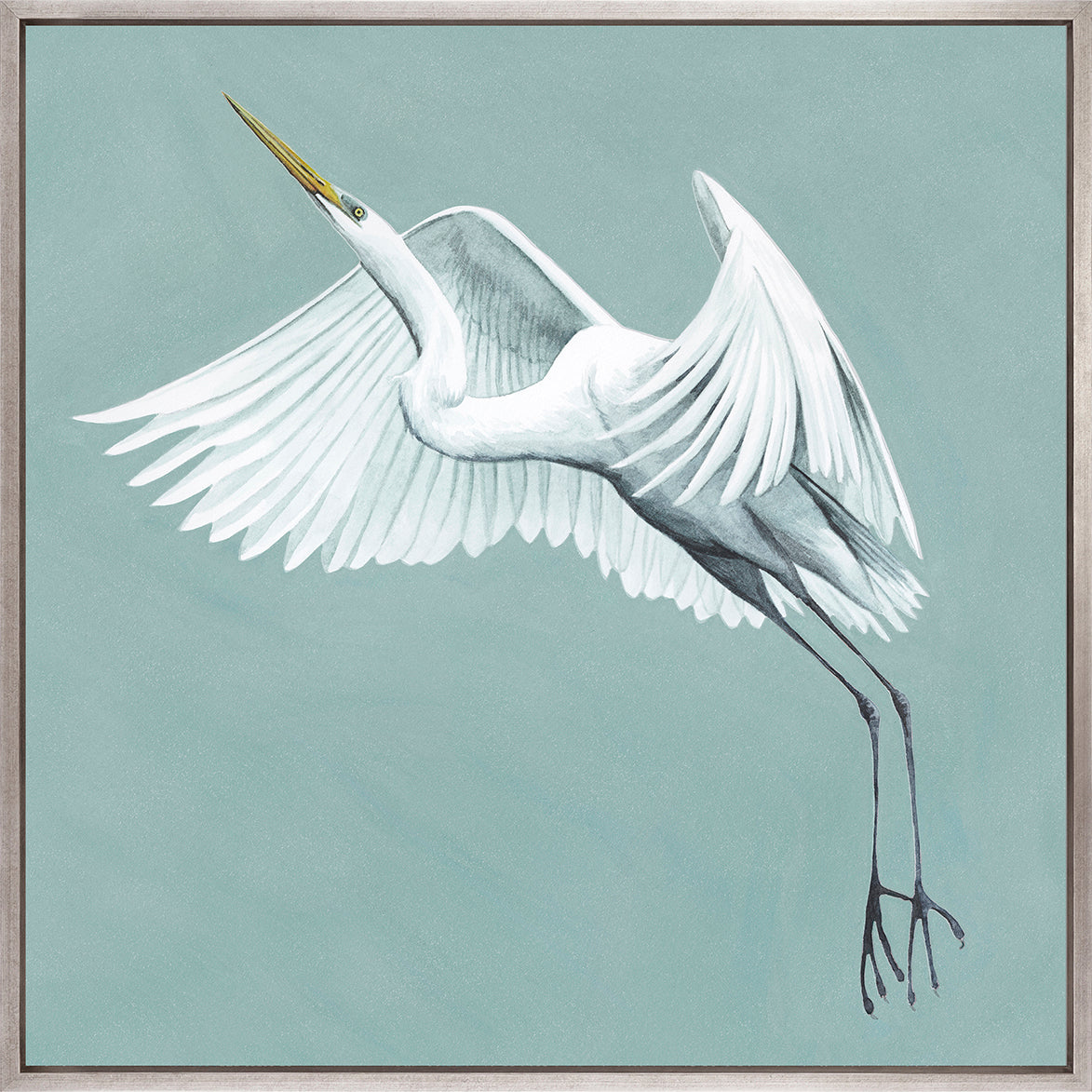 Majestic Egret X (Canvas)