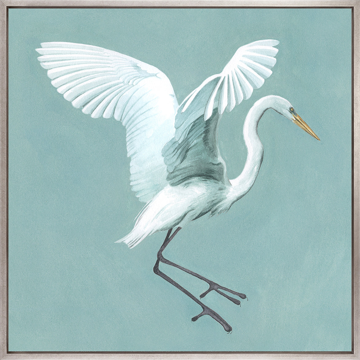Majestic Egret XI (Canvas)