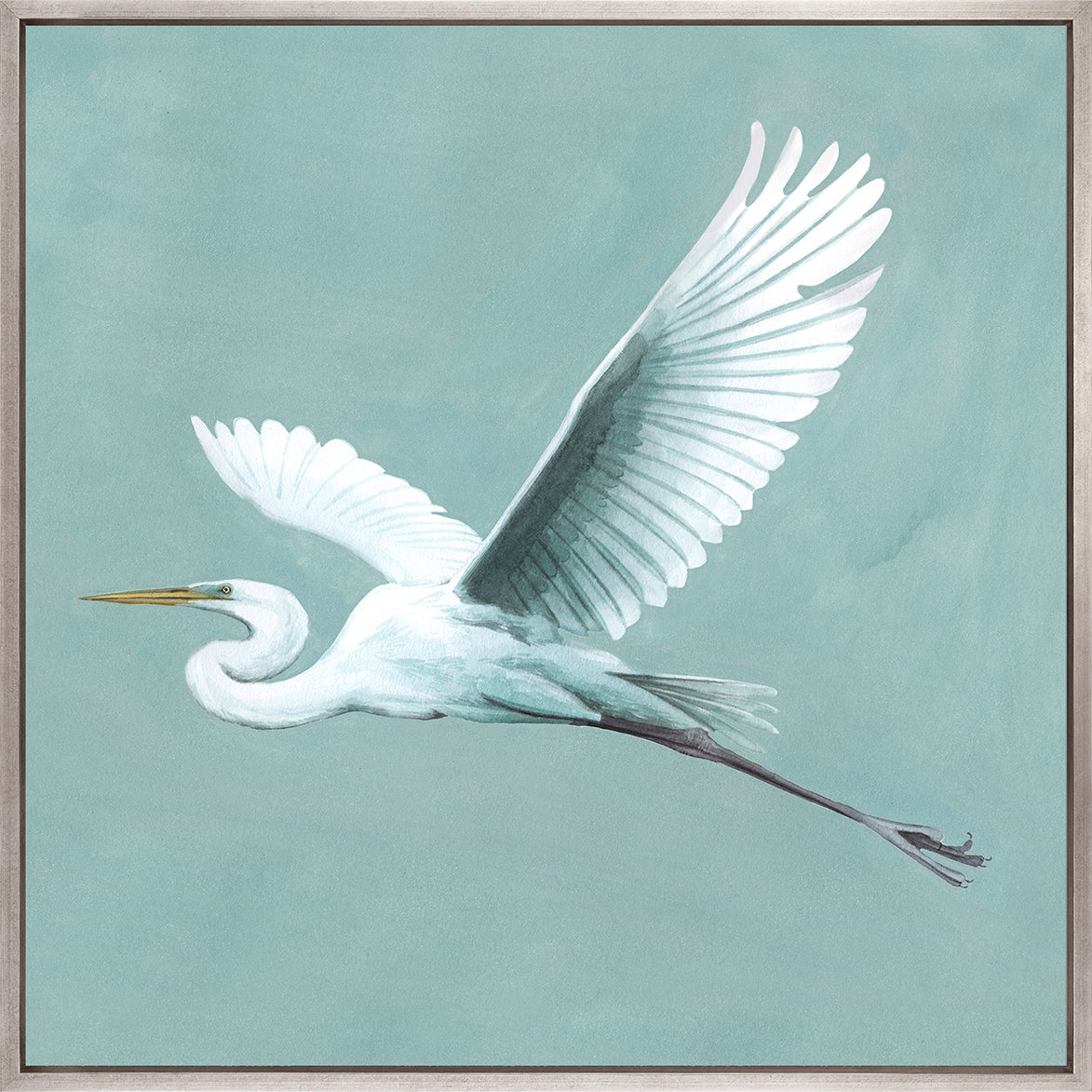Majestic Egret XII (Canvas)