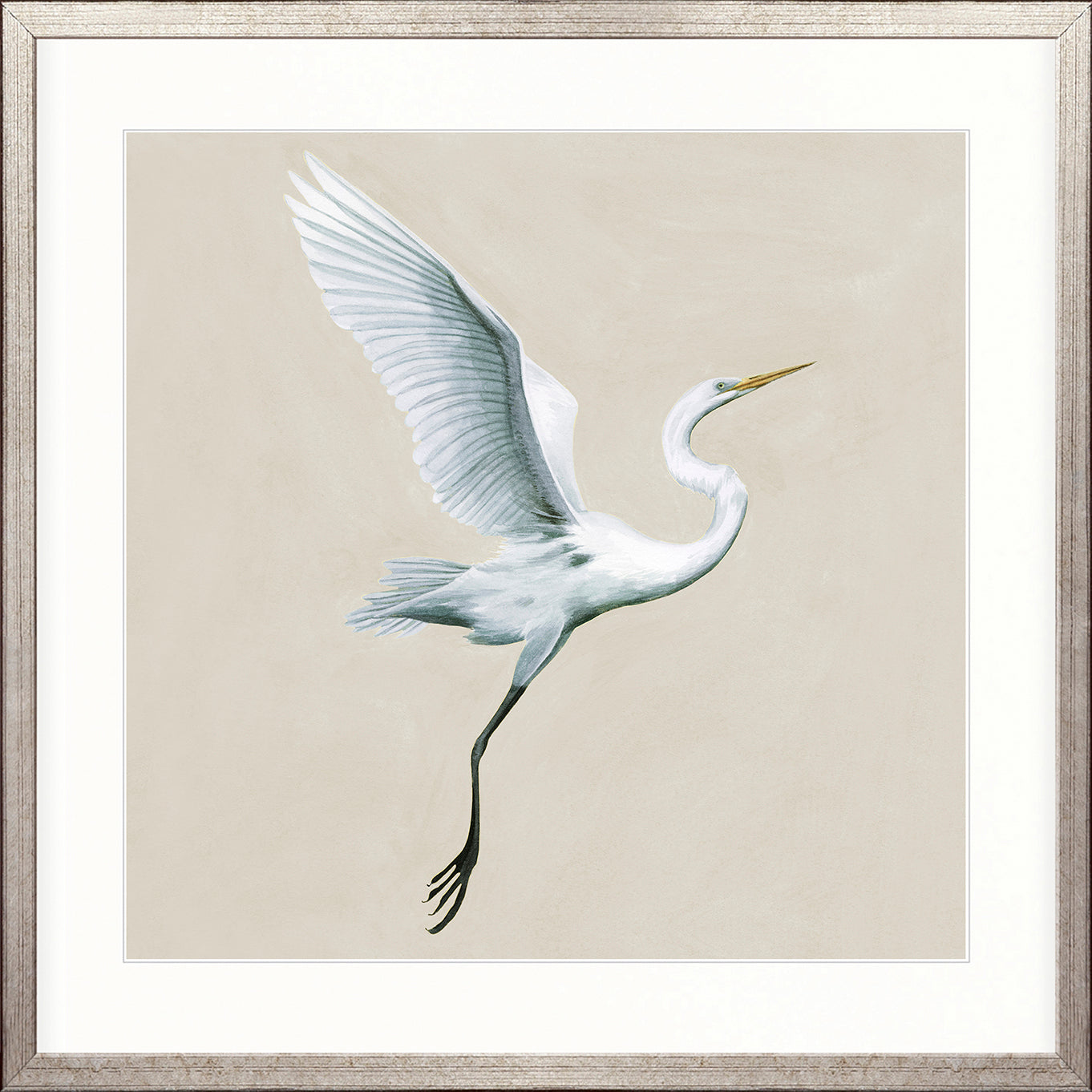 Majestic Egret XIII