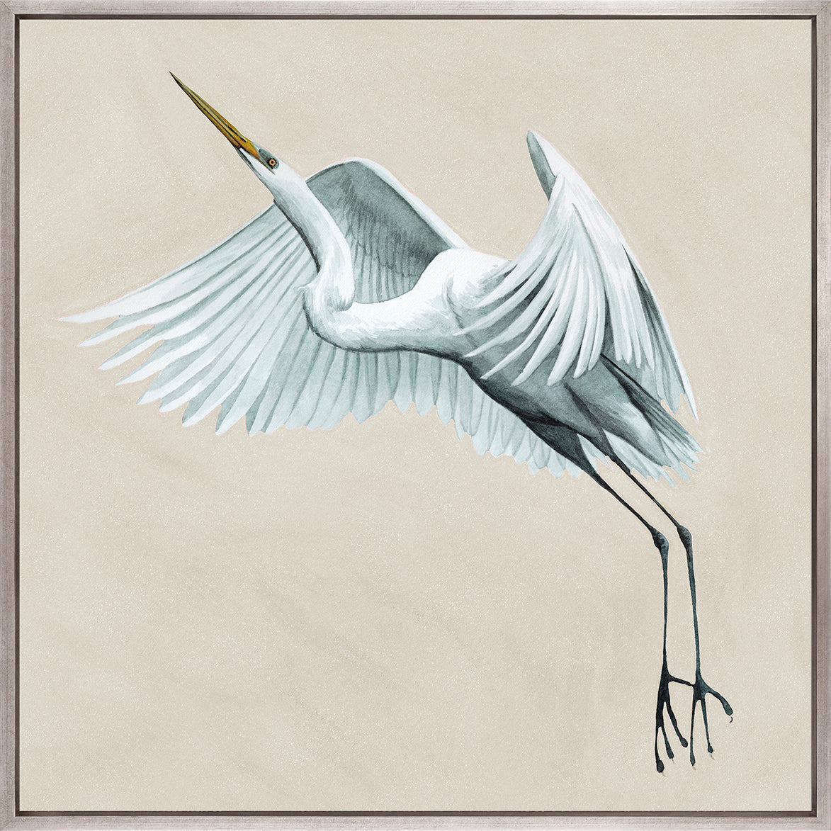 Majestic Egret XIV (Canvas)
