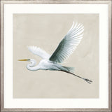 Majestic Egret XVI Small (550mm W x 550mm H) / Standard Clear Glass