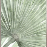 Palm Silhouette I (Pale Green) (Canvas)
