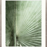 Palm Silhouette II (Pale Green)