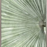 Palm Silhouette (Pale Green) III (Canvas)