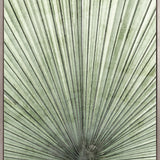 Palm Silhouette (Pale Green) IV (Canvas)