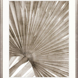 Palm Silhouette VII (Taupe)