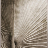 Palm Silhouette (Taupe) VIII (Canvas)
