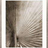 Palm Silhouette VIII (Taupe)