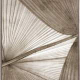 Palm Silhouette (Taupe) XII (Canvas)
