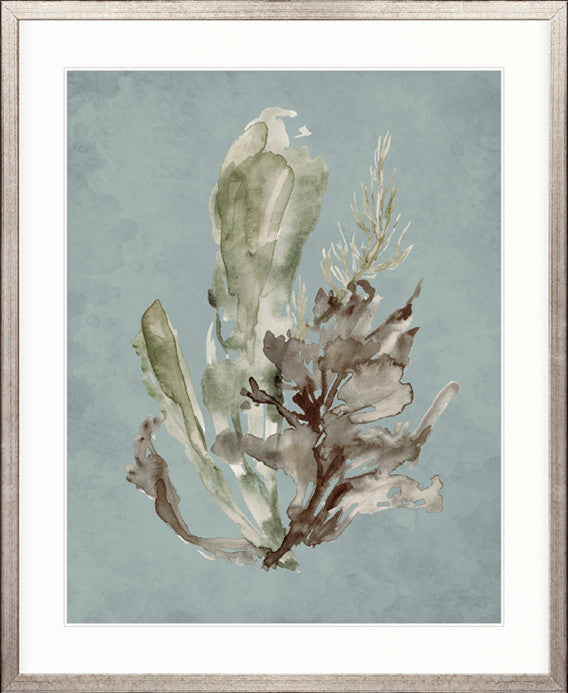 Margate Coral I
