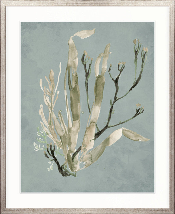 Margate Coral II