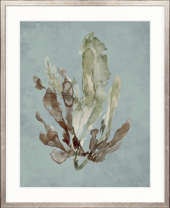 Margate Coral III