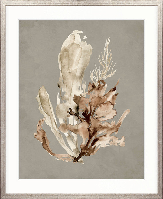 Margate Coral IV