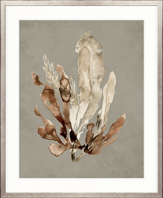 Margate Coral VI