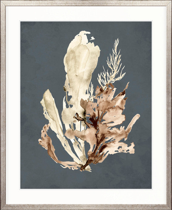 Margate Coral VII