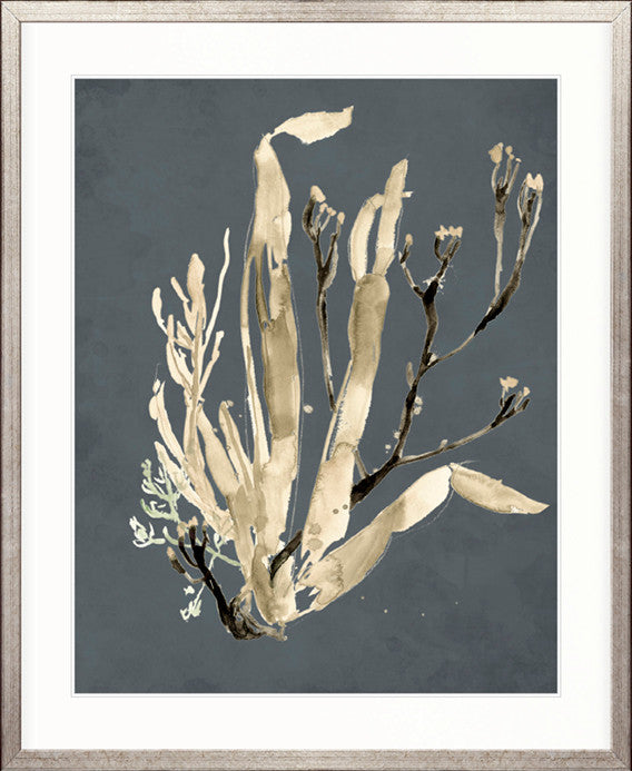 Margate Coral VIII