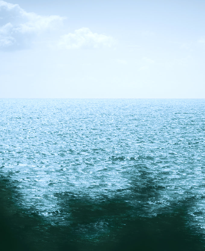 Maris Coast IV