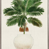 Palm Beauty II (Canvas)