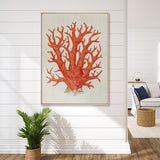 Coral Splendour (Red) I (Canvas)