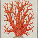 Coral Splendour (Red) I (Canvas)