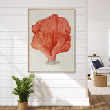 Coral Splendour (Red) II (Canvas)