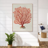 Coral Splendour (Red) IV (Canvas)