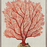 Coral Splendour (Red) IV (Canvas)