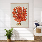 Coral Splendour (Red) V (Canvas)
