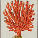 Coral Splendour (Red) V (Canvas)