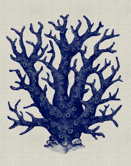 Coral Splendour (Indigo) VII (Canvas)