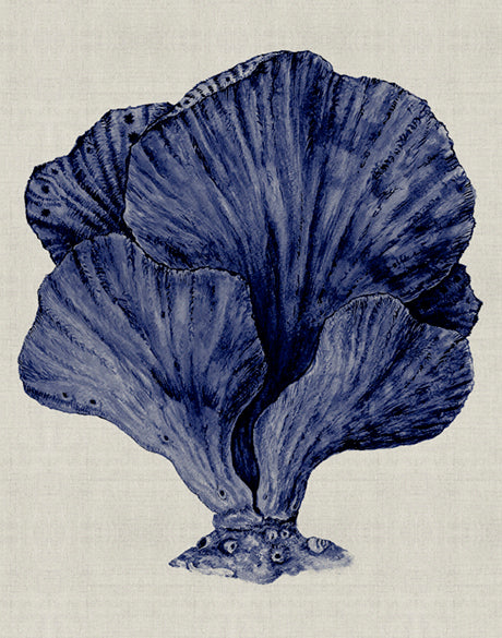 Coral Splendour (Indigo) VIII (Canvas)