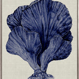 Coral Splendour (Indigo) VIII (Canvas)