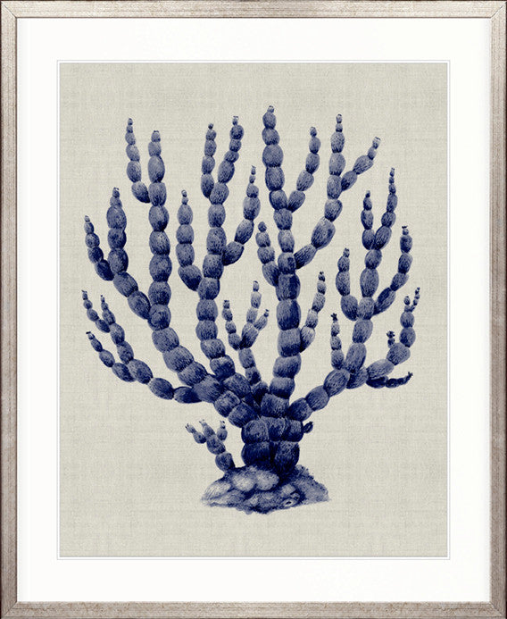 Coral SPLENDOUR (Indigo) IX