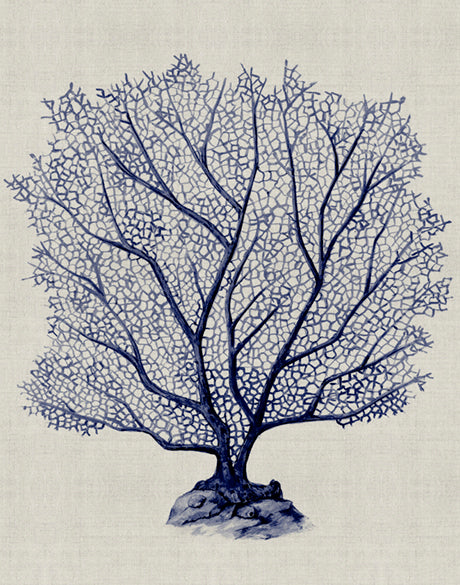 Coral SPLENDOUR (Indigo) X