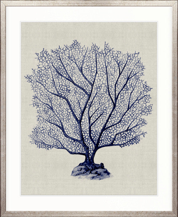 Coral SPLENDOUR (Indigo) X