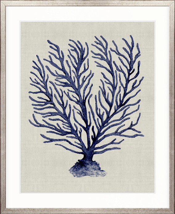 Coral SPLENDOUR (Indigo) XII
