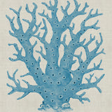 Coral SPLENDOUR (Pale Blue) XIII