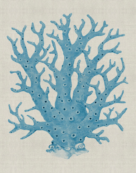 Coral SPLENDOUR (Pale Blue) XIII