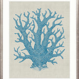 Coral SPLENDOUR (Pale Blue) XIII