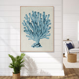 Coral Splendour (Pale Blue) XVII (Canvas)