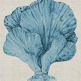 Coral SPLENDOUR (Pale Blue) XIV