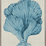 Coral Splendour (Pale Blue) XIV (Canvas)